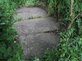 image of grave number 433335